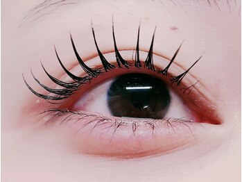 ルチア 高田馬場/フラットラッシュ140本