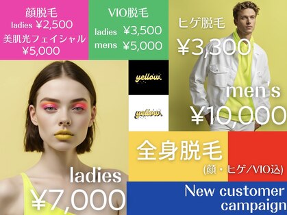 イエロー(yellow.)の写真