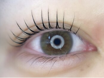 ケイラッシュ(K-LASH)/