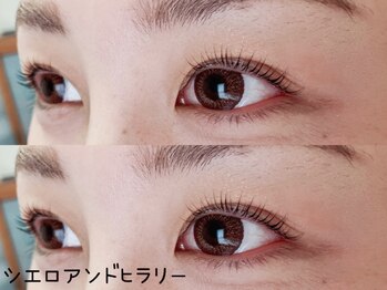 シエロアンドヒラリー/