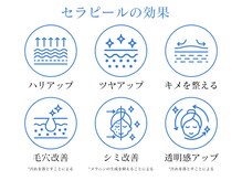 コウ 博多(KOU.)/