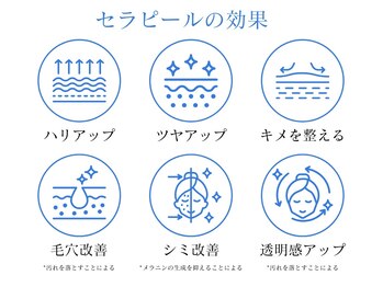 コウ 博多(KOU.)/