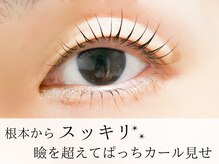 ザ サロン ステラ 五反田(THE SALON stella)/プランプラッシュリフト