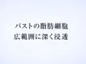 サラエクセレント 心斎橋(SARA EXCELLENT)/バストアップ/バストケア/心斎橋