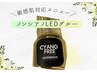 NEW【ノンシアノLEDグルー】フラットラッシュ100本