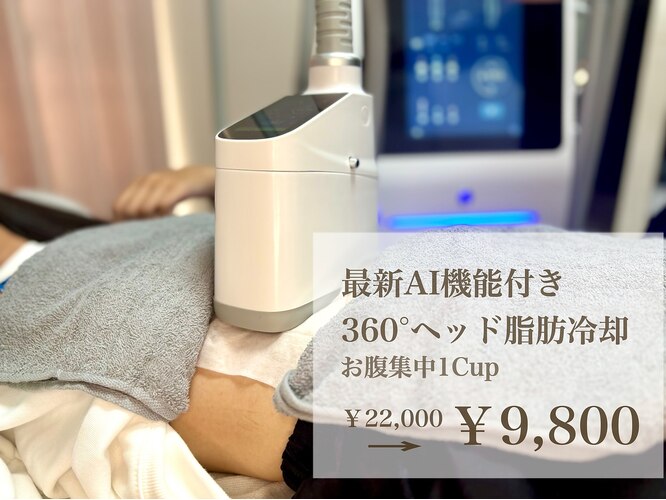 脂肪冷却痩身360脂肪冷却マシン 出っ張っ