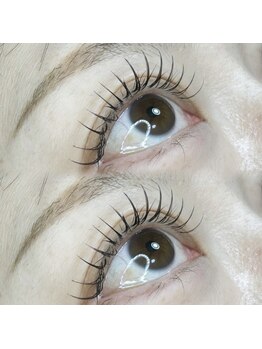 アムール(AMOUR)/ブラウンフラットラッシュ