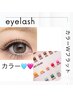 【カラーダブルフラット】100本　12.100円→6600円