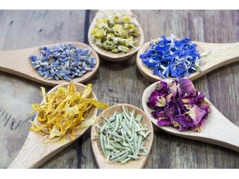 アフロディーテ(APHRODITE)/よもぎ蒸し/ハーバルスチーム