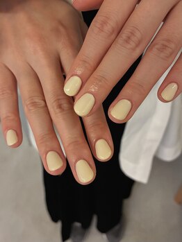 ロマ(LOMA)/バターイエロー