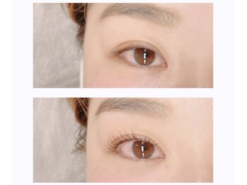 リノ(Lino)/ロイヤルラッシュリフト