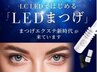 【モチ1.5倍×汗水に強い】LEDウルトラソフトグードラッシュ100本  ¥7600