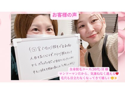 リトルリリィー(Little Lily)の写真
