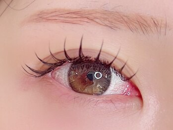 リリー(Lily)