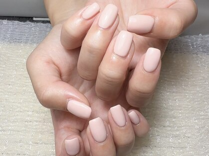 ラベンダー(lavender)の写真