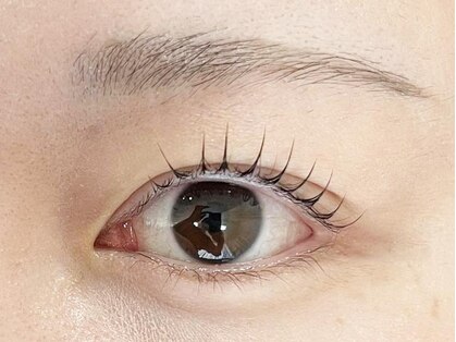まつげパーマ・マツエク・眉毛専門店 eyelash salon Latte 【ラテ】の写真