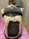 健香癒(けんこうゆ)の写真/デトックス、脂肪燃焼期待、冷え性改善、むくみ改善、肩こり、頭痛改善、睡眠改善、フェムケア期待