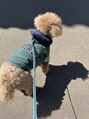 アーク コンディショニングラボラトリー ジユウガオカ(ARK Conditioning Laboratory) 私の癒しは愛犬と過ごす時間です(^^)