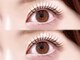 ベッキーラッシュトウキョウ 横浜店(BECKY LASH TOKYO)の写真/【高い技術力×低価格】まつげパーマ(まつ毛パーマ)/パリジェンヌ/マツエク/眉毛(アイブロウ)で垢抜け顔に!