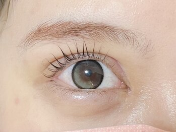 アヤラッシュ(AyaLash)/パリジェンヌラッシュリフト