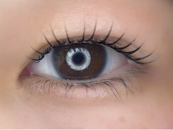 ケイラッシュ(K-LASH)/