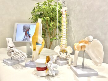 もみじ鍼灸整骨院 蔵前駅前店/内観