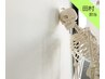 骨格調整コース（全身バランス調整）×炭酸筋膜フェイシャル 90分