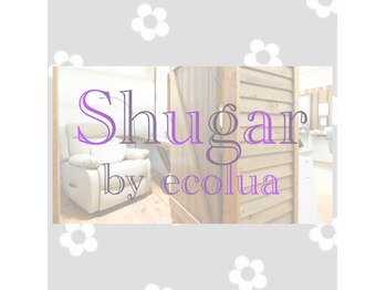 シュガー バイ エコルア(Shugar by ecolua)