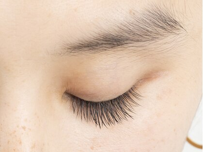 レクラ (Leclat)の写真