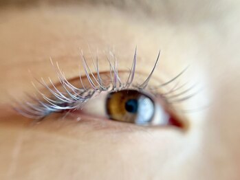 フィグ バイ アルテフィーチェ 西宮(fig by artefice)/グレー×バイオレット