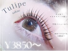 チュリップサカエ(Tulipe sakae)
