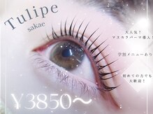 チュリップサカエ(Tulipe sakae)