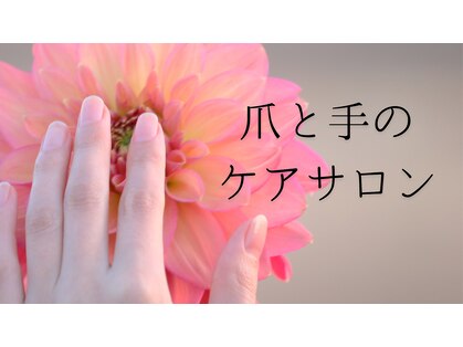 セル(Cell)の写真