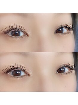 ディーロータス(D-lotus)/まつげエクステ/マツエク