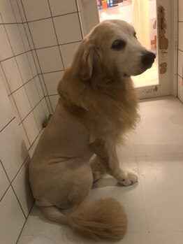 クラ接骨院(KURA接骨院)/看板犬クウちゃん