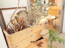 ゆたかバランス整骨院/整体院の風除室の植物