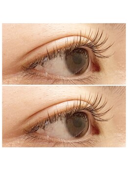 ニコアイラッシュ 戸塚(nico eyelash)/フラットラッシュ