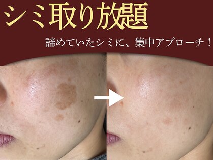 ナナラの写真