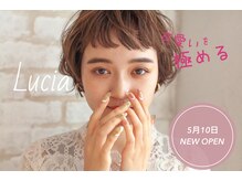 ルチア(Lucia)/アイブロウ＋眉カラー