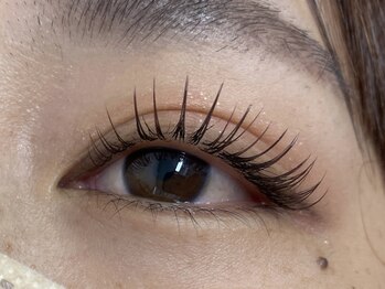 アイラッシュプラザ(EYELASH PLAZA)/ブラウンフラットラッシュ
