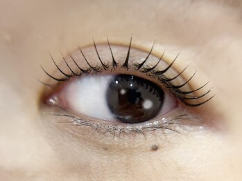 リュクス(Le LUXE)/立ち上げデザイン