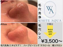 ホワイトアクア 京橋店(WHITE AQUA)