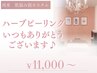 【再来】ハーブピーリング[ノーマルorお悩み別カスタム]11000～