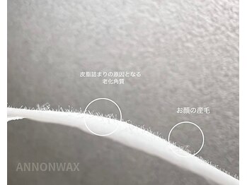 ポアラ(POARA)/毛穴/ワックス脱毛