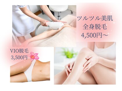 ボニー(BONNY)の写真
