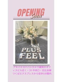 プラスフィール 秋葉原店/美容整体/エステ/リラク/コルギ