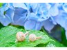 雨の日限定★本日のみ【骨盤矯正】Ｏ脚/X脚/猫背/そり腰/巻き肩