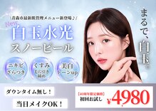 エステティック レイビス 青森店(RAYVIS)