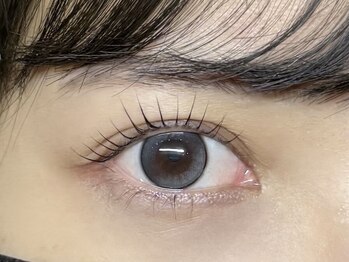 フィリス 代官山店(phylis)/パリジェンヌ/まつげパーマ