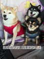 整え処 ゆうらく&nbsp;自宅にいる犬です♪